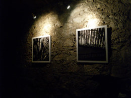 Cellar Gallery
